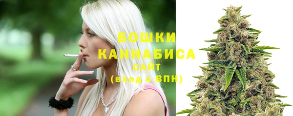 apvp Богородицк