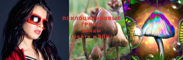 apvp Богородицк