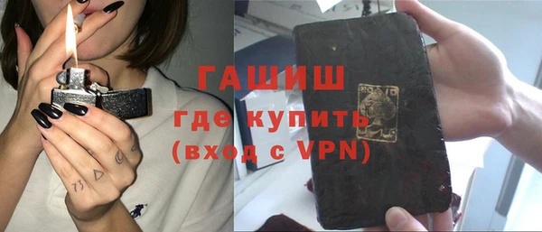 индика Белая Холуница
