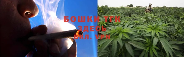 apvp Богородицк