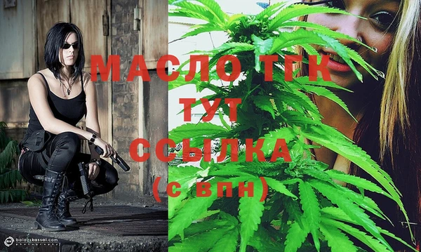 индика Белая Холуница